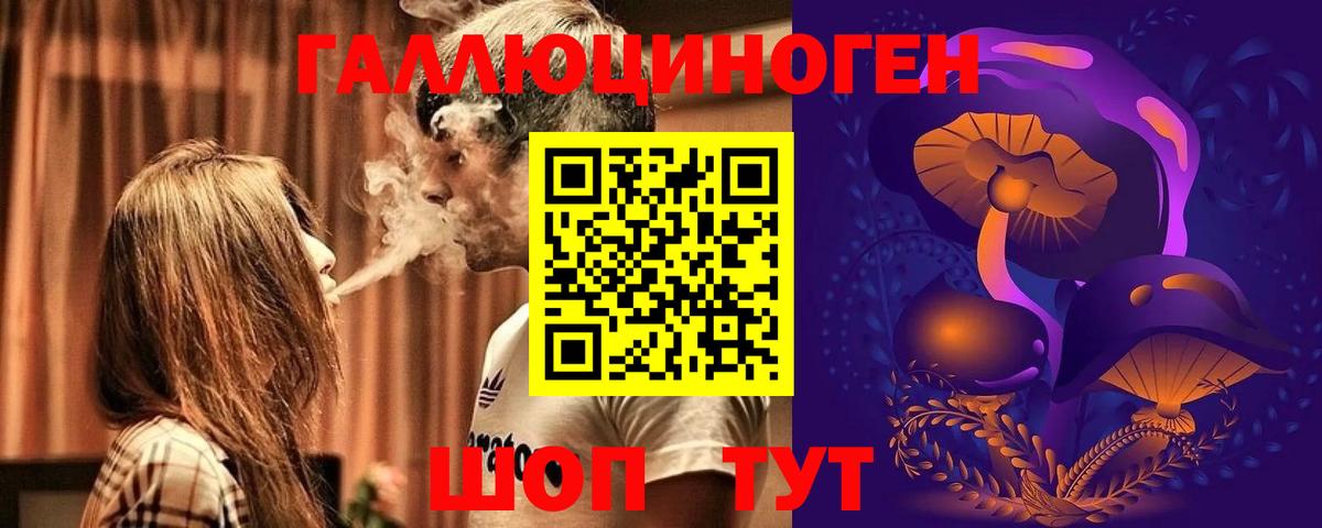 дарнет шоп  Псилоцибиновые грибы MAGIC MUSHROOMS  Вход с VPN  Жуковский 